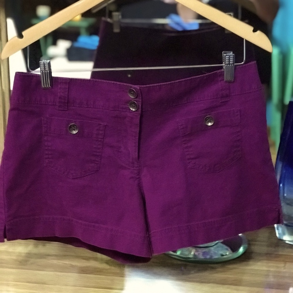 New York & Co. purple shorts